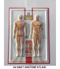 A4 EBAT ANATOMİ KABARTMA (PVC)