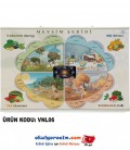 Mevsim Şeridi - Vinil / Branda Baskı (110x74 cm)